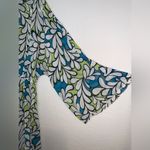 Daniel Benjamin: A deep V Photo 2