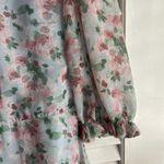 The Impeccable Pig  Dress Size Large Photo 3