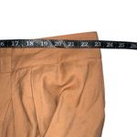 Lane Bryant NWOT Front Pleat Side Stripe Tan Wide Leg Pants 24 Photo 6