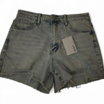 Vervet size M Distressed Denim Shorts NWT Photo 0