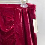 Anthropologie NWT $118  Raspberry Montie Velvet Mini Skirt 8 Photo 8