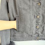 Anna Irion Black Mongolian Lamb Trim Collar & Cuff Gray Denim Jacket size Medium Photo 5