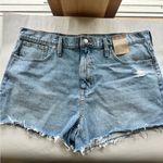 Madewell NWT  Relaxed Denim Shorts Photo 6