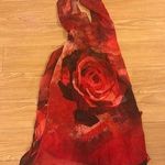Semi Sheer Red Silk Chiffon Dress Photo 0