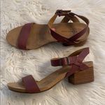 Lucky Brand  Leather Stylish Red Block Heel Sandals size 9 BNWOT Photo 0