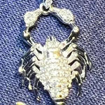 Scorpion Pendant Silver Photo 0