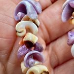 Dyed shell necklace Purple Photo 4