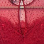 EXPRESS  red lace fairy skater tulle floral long sleeve dress size 10 Photo 11