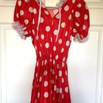Disney Adult Minnie Mouse costume Photo 2
