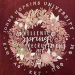 Hanes JHU Johns Hopkins University Panhellenic Spring Recruitement 2019 Tee, S Photo 1