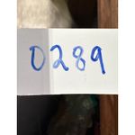 Toms  Classic Slip On Shoes Gray Black White Pattern Casual Comfort 10W Photo 9