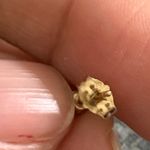 14kt Gold 0.25 cttw Diamond Solitaire Earrings Photo 3