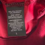 Aviator Nation  5 Stripe Velour Tracksuit Jogger Set Women's Red Size Large Photo 3