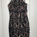 Guess NEW  BLACK DEIRDRE HALTER LACE DRESS SIZE XS Photo 0