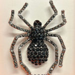 Piper K | Spider š·ļø Brooch Photo 0