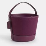 Coach  Trick Or Treat Bucket With Halloween Owl In Regenerative Cotton Photo 1