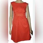 Sandra Darren  Vibrant Red Patterned Dress Photo 2