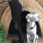 Mammut Toko SOFtech Swiss Fleece Lined Full Zip Black Snow Pants Women's Size XS Photo 2