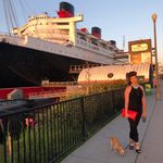 JustFab Shiny patent Red Snakeskin snap clutch Photo 6