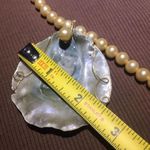 Women's Vintage Oyster Shell ? Faux Pearl Costume Necklace Photo 9