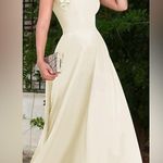 NWT TS Couture Dusty Pink A Line Party Dress Photo 5