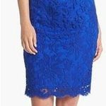 Tadashi Shoji Royal Blue Lace Sleeveless Sheath Cocktail Dress Size 8 Petite Photo 0