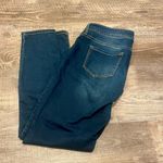 Maurice's Maurice’s Jeggings Size M Photo 1