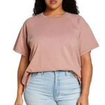 Madewell Pink Garment Dyed Harraway Raglan Crew Neck Tee Shirt ~ Women's SMALL Photo 0