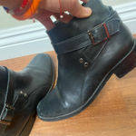 Ankle booties with leather buckle Black Size 7 Photo 0