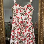 Oscar de la Renta  poppy dress 6 Photo 2