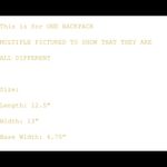 Crazy Train - Cattle Boss Backpack Photo 4