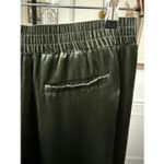 Garnet Hill  Moss Ivy Green Silk Velvet Wide Leg Pull On Pants XS Photo 5