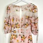 For Love & Lemons Isadora Dress Mini in Blush Size Small Photo 10