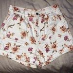 American Eagle Outfitters Floral Shorts Photo 0
