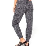 Celebrity Pink  Curvy Joggers - Grey & Black‎ Cheetah Print - Size Small Photo 1