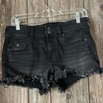American Eagle  Shorts Photo 0