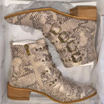 Beast Fashion  - Studded Snakeskin Ankle Boots Photo 1