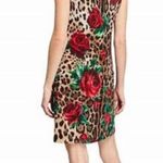 Dolce & Gabbana NWOT  rose leopard print dress Photo 2