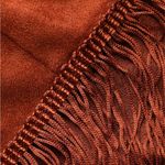 Cider western fringe crop top Photo 2