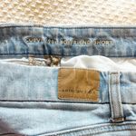 American Eagle Strigid Curvy 90s Boyfriend Short size 2 Photo 3
