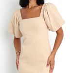 Petal and Pup Dress Photo 0