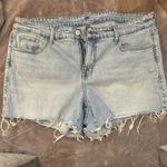 Torrid  Jean Women’s Shorts Photo 0