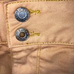 Maurice's M Jeans by Pants Women 2XL High Rise Brown Skinny Minimalist Academia Photo 9