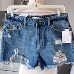True Craft High Rise Denim Shorts Jean Cutoffs  Womens 9 Photo 1