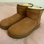 UGG boots Photo 0