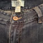 Loft Ann Taylor Dark Blue Straight- Leg Cut Jeans in Size 10P Photo 4