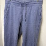 Champion Women's French Terry Jogger Sweat Lounge Pants Sz M Dusty Blue Photo 1