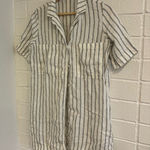 Everlane striped linen button up mini dress Photo 0