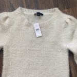 Ann Taylor  Fuzzy Sweater Photo 1