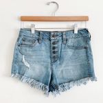 Celebrity Pink Jean Shorts Photo 0